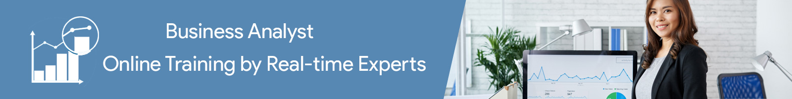 BA | US IT Recruiting & Online Training Consultant